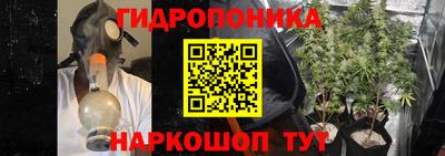 a pvp Сосновый Бор