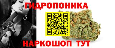 jwh Будённовск