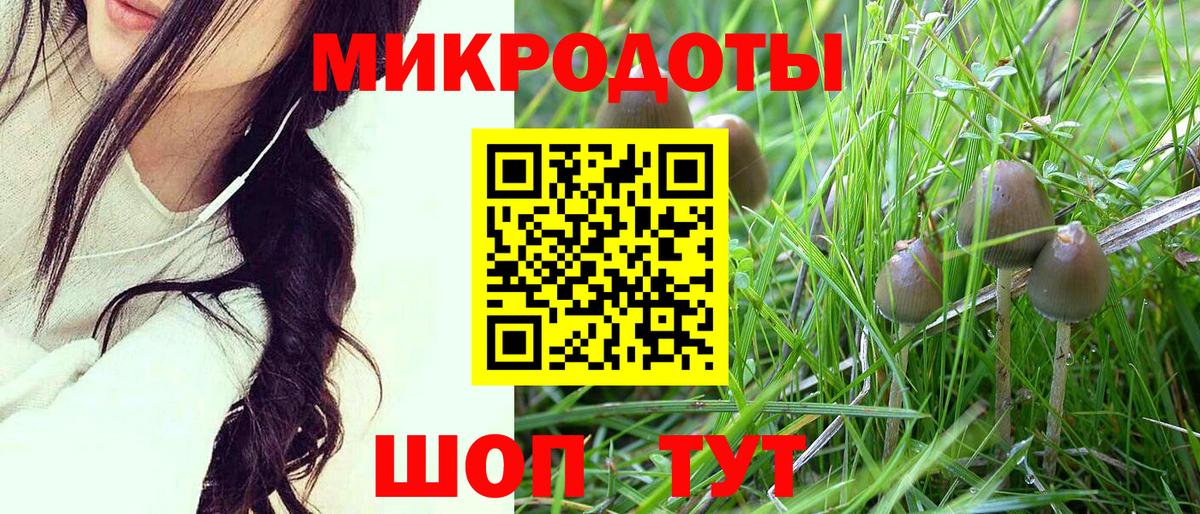 Псилоцибиновые грибы MAGIC MUSHROOMS Лабытнанги